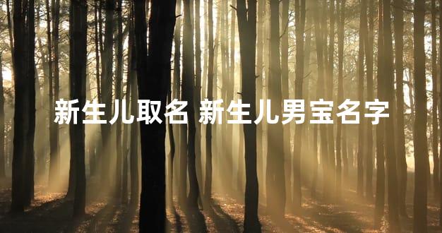 新生儿取名 新生儿男宝名字